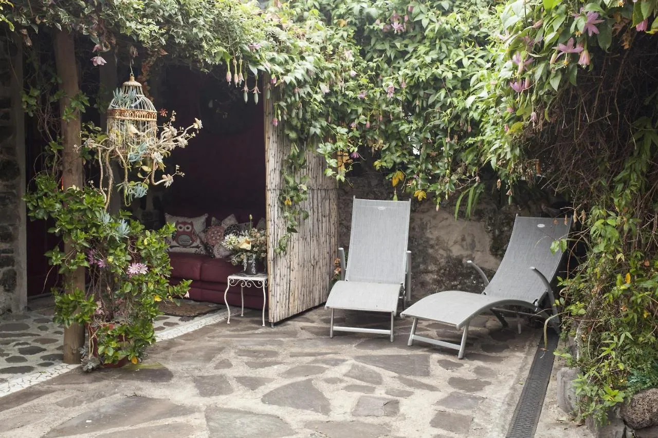 Villa Casas Maravilha By Madeira Sun Travel Calheta  Ferienhaus Calheta (Madeira)